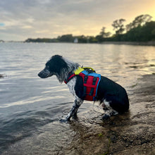 Load image into Gallery viewer, Spinlock FIDO Flotation Aid for Dogs