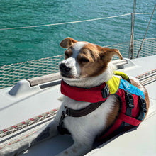 Load image into Gallery viewer, Spinlock FIDO Flotation Aid for Dogs