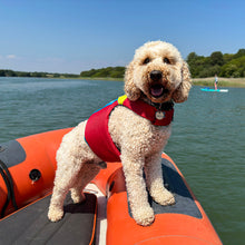 Load image into Gallery viewer, Spinlock FIDO Flotation Aid for Dogs