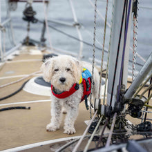 Load image into Gallery viewer, Spinlock FIDO Flotation Aid for Dogs