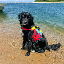Load image into Gallery viewer, Spinlock FIDO Flotation Aid for Dogs
