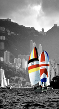Load image into Gallery viewer, LaMy Dragonfly Yacht Racing in the Harbour (1980)